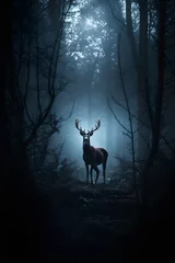 Deurstickers deer in the forest © lovephotos