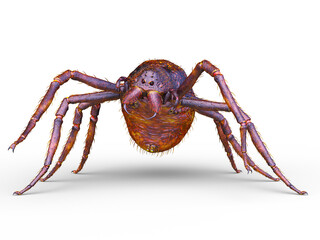 蜘蛛　3DCG レンダリング