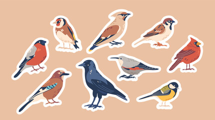 Set of Stickers European Winter and Autumn Bird Species, Wild Or Garden Birdies. Goldfinch, Small Tit, Northern Cardinal