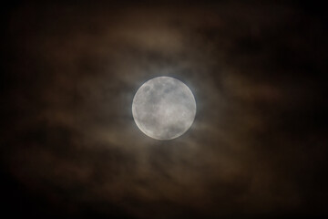 Naklejka na ściany i meble Earth's moon rising at 99 percent full with high cloud in the night sky