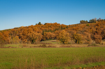 Paesaggio colorato di pianura nella campagna toscana a fine dicembre in una giornata serena