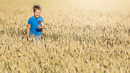 Naklejka na ściany i meble A happy, healthy, smiling child is wading in golden wheat field lit by the summer sun. The photo is suitable as a banner, there is free space for text