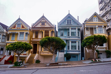 Steiner Street in San Francisco, California near the Intersection with Fulton Street 