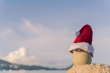 Funny looking Santa Claus cantaloupe Wear stylish sunglasses on the sand that contrasts with the...