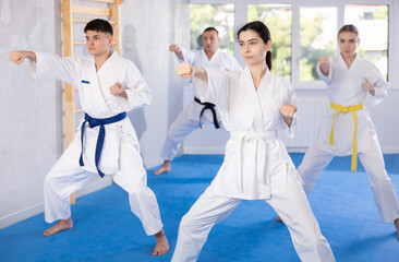 Fototapeta na wymiar Group of male and female karateists practicing karate techniques in gym..