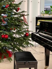 christmas tree and Piano