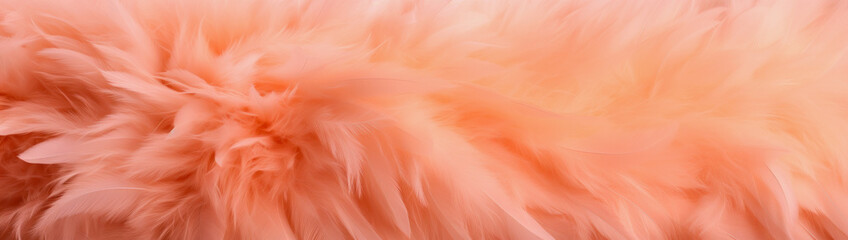 illustration of a peach colored feather background in banner size