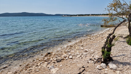 Stone beach tree and sea