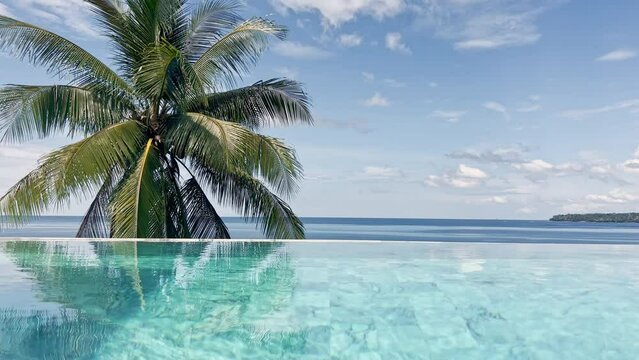 Sea view through the pool and the coke palm tree in clear sunny weather, a coconut palm tree, the coast of Thailand, the shore of the blue sea