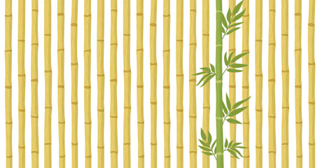 Bamboo forest pattern. Dry bamboo stalks and green bamboo shoot with fresh leaves flat vector background illustration. Cartoon bamboo backdrop