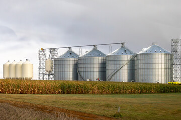 Fototapeta na wymiar Shiny Stainless Steel Metal Grain Silos on a Stormy Day in South Dakota, Next to a Corn Field Ready for Harvest