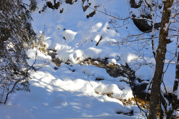 Kleinwalsertal - Bärguntbach - Winter / Kleinwalsertal - Bärguntbach - Winter /
