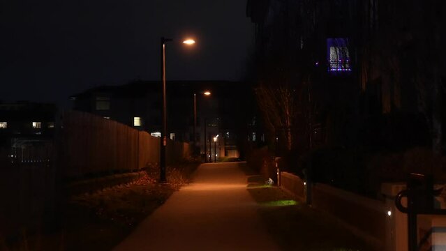 Tranquil Night Scene on a Residential Pathway with Streetlights