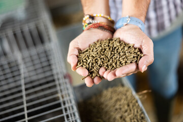 Animal feed in farmer hands. High quality photo