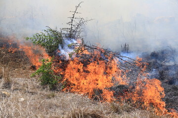 Waldbrand