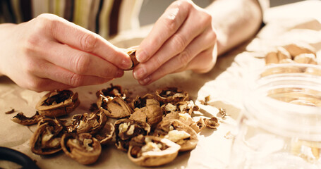Close-up shot of a woman removing walnut kernels from their shells
