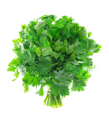 A bunch of parsley, fresh greens. on transparent, png adding to food for taste and smell. Green...