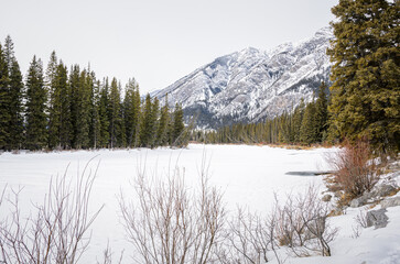 Frozen river through a pine forest with a snowy mountain in background on a cloudy winter day