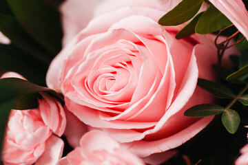 Pink rose background. Mother's day bouquet background. Bunch of flowers isolated. Woman's day...
