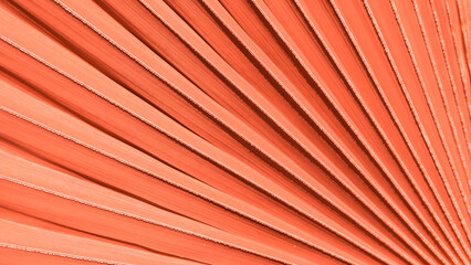 Close up peach fuzz color palm leaf. Peach fuzz Color of the year 2024. Close up palm leaf. Selective focus included