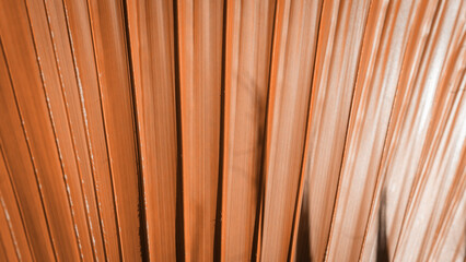 Close up peach fuzz color palm leaf. Peach fuzz Color of the year 2024. Close up palm leaf. Selective focus included