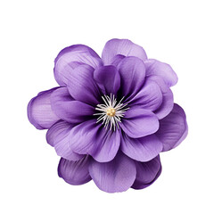A Vibrant Purple Flower Blossoming on a Clean White Background