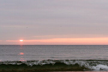 Avon By The Sea, New Jersey - Pre Sunrise and sunrise sky with shore birds and seagulls flying over the Atlantic Ocean near the Shark River Inlet 