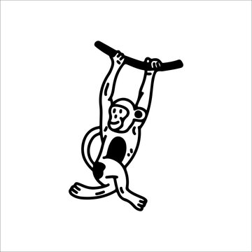 vector illustration of a hanging monkey