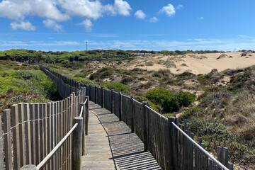 Fototapeta na wymiar Wooden walkway leading to the dunes on the Atlantic coast of Portugal