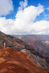 Hiker standing at cliffside of Waimea Canyon - Kauai, Hawaii USA