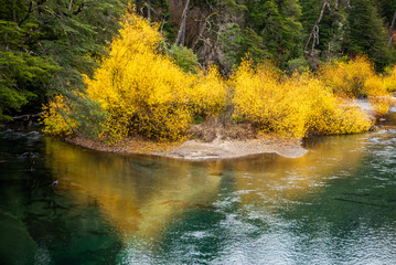 View of the Ruca Malén River that crosses the section of Route 40 that forms the Road of the Seven Lakes, in autumn, in the province of Neuquén, Argentina.