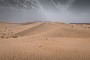 Fototapeta na wymiar Sand dunes in the Gobi Desert in Inner Mongolia, China