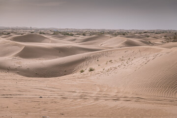 Desert sand, beautiful sand desert landscape at sunset, Inner Mongolia, China