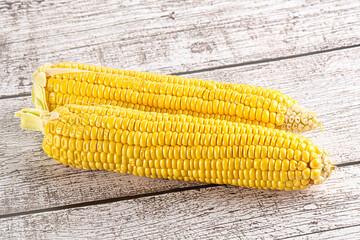 Sweet yellow raw corn cob