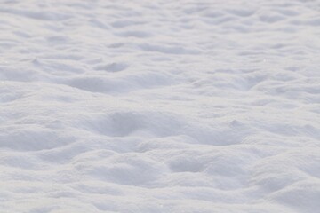 Beautiful snow as background, closeup. Winter weather