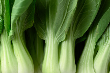 Bok choy or Pak choi (Chinese cabbage) pattern texture background, Organic vegetables - obrazy, fototapety, plakaty