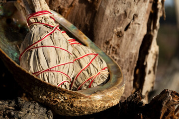 A close up image of two white sage smudge sticks in a large abalone sea shell. 