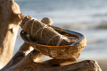 A calming image of a single white sage smudge stick in an abalone shell propped up on a driftwood...