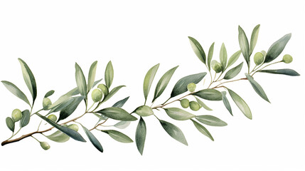 Watercolor banner of olive branches and leaves - obrazy, fototapety, plakaty
