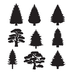 Isolated Pine on the white background. Pine silhouettes. Tree hand drawn. Vector EPS 10.