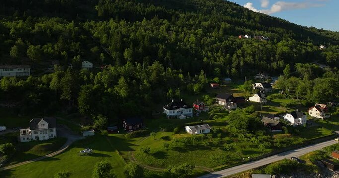 Cars drive along road below beautiful dense conifer forest in Lustra Fjorden Norway