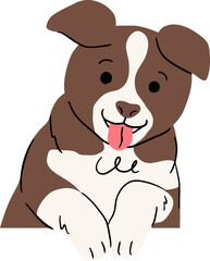 Cute Little Border Collie Puppy