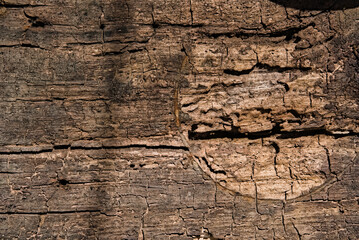 close up picture of old wooden texture with cracks