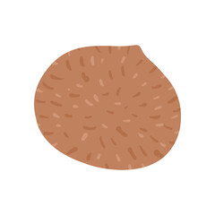 coconut