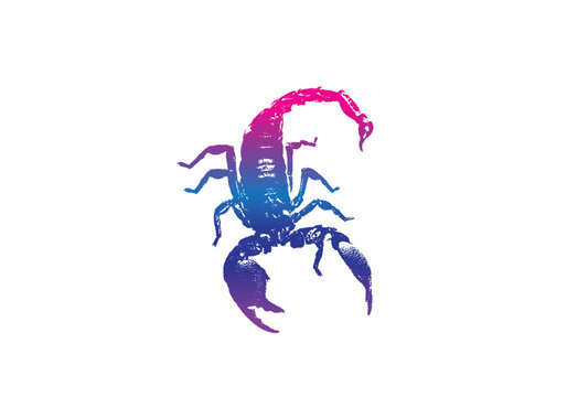 Scorpion vector image, suitable for icons, logos, t-shirts,