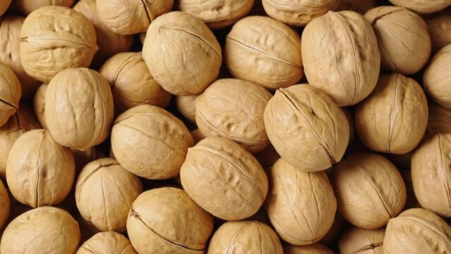 closeup of ripe walnuts texture background. 