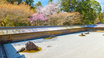 Ryoanji Temple in Kyoto is the site of Japan's most famous rock garden and beautiful cherry blossom in spring time - 694643217