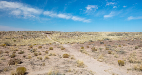 Hiking path leading to petrified log in the Petrified Forest National Park in Arizona United States