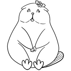 Groundhog 