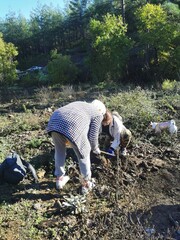 She could. Marmaris. Turkey. 12.17.23 Working moments on tree planting in the vicinity of Marmaris